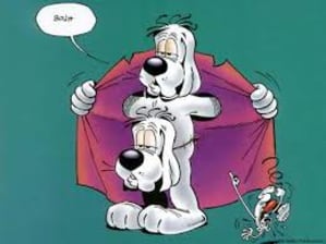 Gai luron 01 pvtpcu - Eugenol