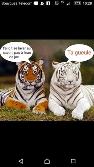 Img 20200408 wa0005 xak4rk - Eugenol