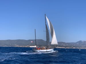 Img 20210827 wa0005 otsuip - Eugenol