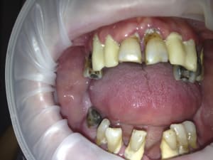 Img 0432 gf3exl - Eugenol