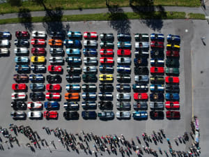 Img 0733 kebrub - Eugenol