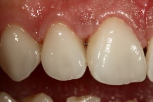 Img 1343 w53qjc - Eugenol