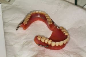 Img 1572 h3zj6r - Eugenol