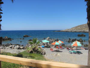 Img 1816 jduypn - Eugenol