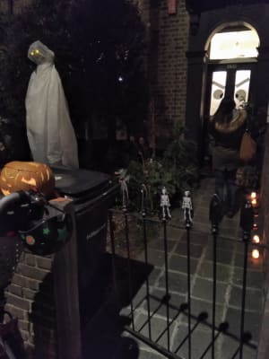 Img 20181031 185206 iptloj - Eugenol