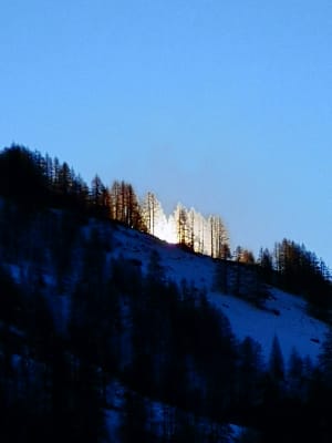 Img 20190213 084115 rggehu - Eugenol