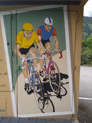 Img 20200804 180004 szdogs - Eugenol