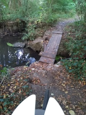 Img 20200818 180107 tyripg - Eugenol