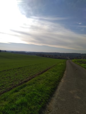 Img 20201122 130247 fpgkmq - Eugenol