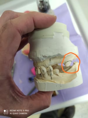 Img 20210127 180731 zlnvwa - Eugenol