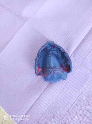 Img 20210218 172121 ekbixw - Eugenol