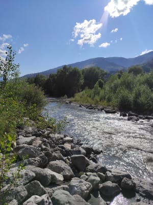 Img 20210728 173444 vnrvhd - Eugenol