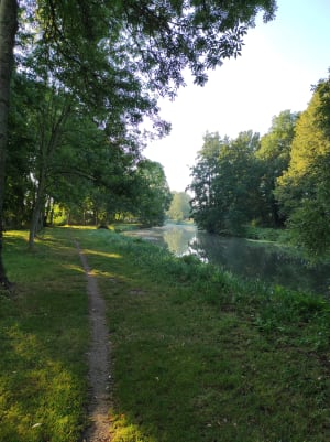 Img 20210917 084749 t8htd8 - Eugenol