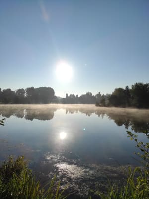 Img 20210917 085400 btv5rv - Eugenol