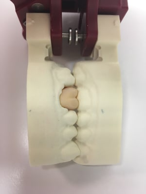 Img 2485 ph2wjp - Eugenol