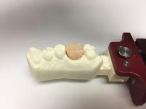 Img 2487 pu1enq - Eugenol