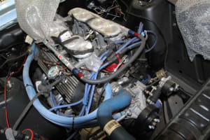 Img 2854 bzskbv - Eugenol