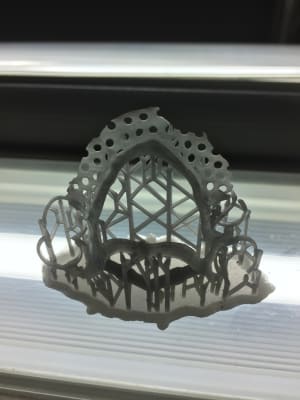 Img 4303 ulm045 - Eugenol