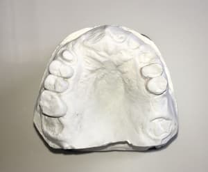 Img 5548 fsaup4 - Eugenol