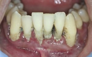 Img 7680 bgbswf - Eugenol