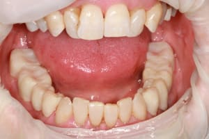 Img 8765 yikdlt - Eugenol