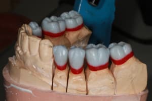 Img 8774 ld76dy - Eugenol