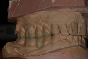 Img 8778 mgw1iw - Eugenol