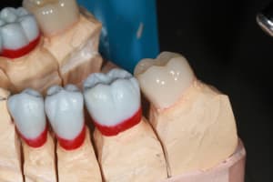 Img 8786 w3cdzp - Eugenol