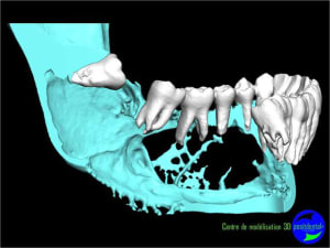 Image10 cqlxw1 - Eugenol