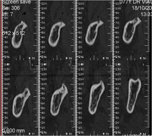 Image1 sx54ur - Eugenol