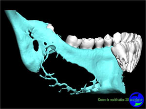 Image9 vjbhzw - Eugenol