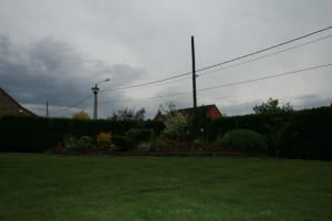 Jardin utr38z - Eugenol