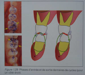 Legall lauret12 xjt55e - Eugenol