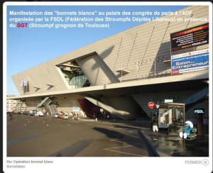 Macho adf zt3feq - Eugenol