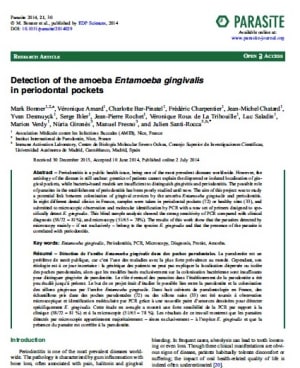 Parasite cqkvgd - Eugenol