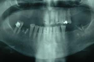 Photo 0001 gxjtb0 - Eugenol