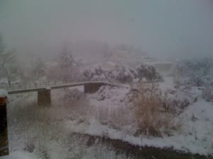 Photo 766 b393jb - Eugenol