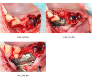 Planche contact 003 rmwumk - Eugenol