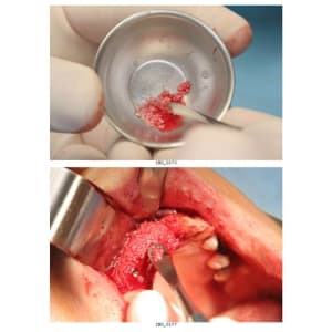 Planche contact 3 vxawjs - Eugenol