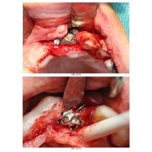 Planche contact 6 q0eri1 - Eugenol