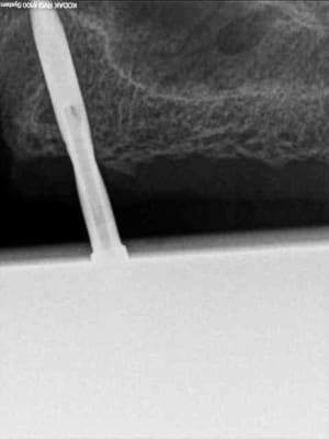R14 bxf2h8 - Eugenol
