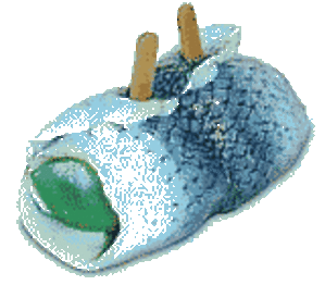 Rollmops l1oozk - Eugenol