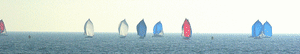 Sail3 yc9vdm - Eugenol