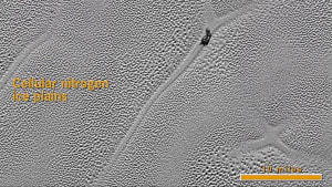 Screenshot 20190103 082635 eymrlb - Eugenol