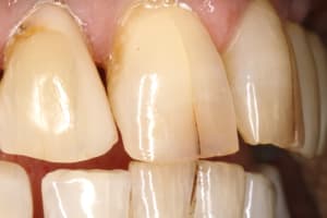  mg 1471 n8pca0 - Eugenol