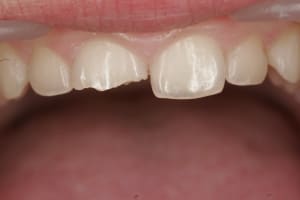  mg 8323 gmn8od - Eugenol