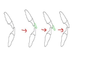  articulé o9qrh4 - Eugenol