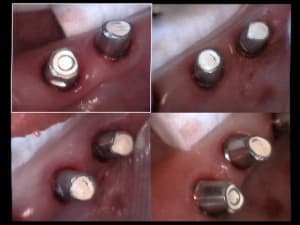  offrande 1 aywnqh - Eugenol