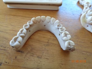 A6uzfd3xu88ushr8eqij - Eugenol