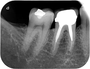 Af0b6avz9gcoce2aolwe - Eugenol